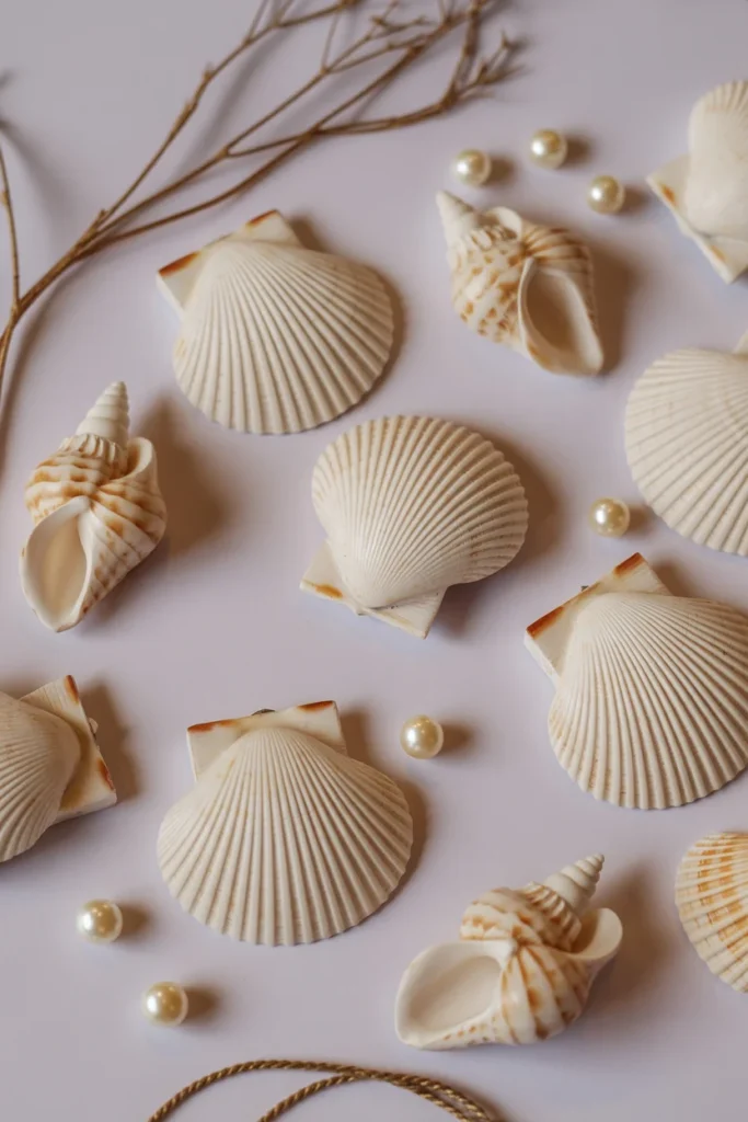 Clay Seashell Trinkets